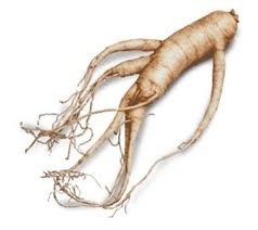 Ginseng