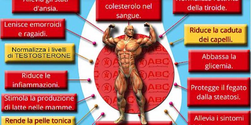 Fieno greco