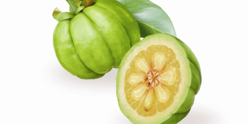 Garcinia Cambogia