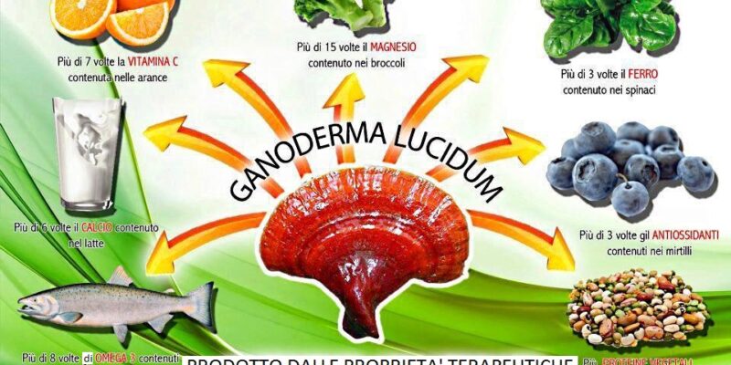 Reishi